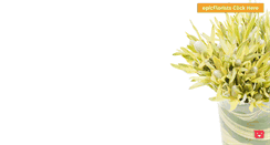 Desktop Screenshot of epicflowers.com